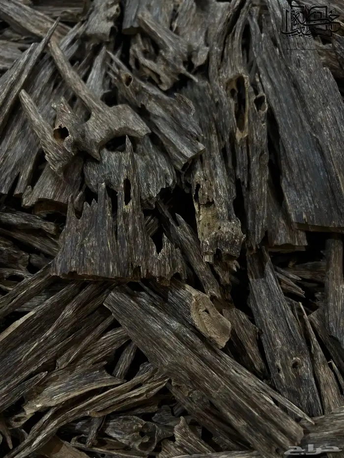 عود هندي زورا سوبر وأعلى طبيعي بعرض صيدة 4