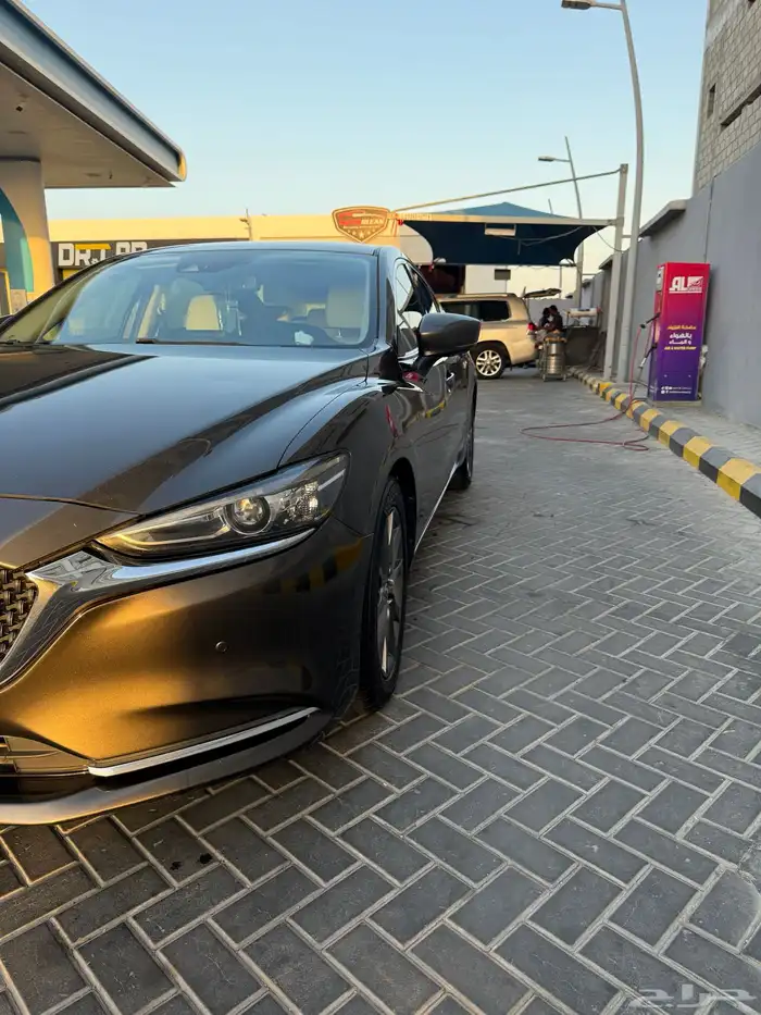 الاحساء 6