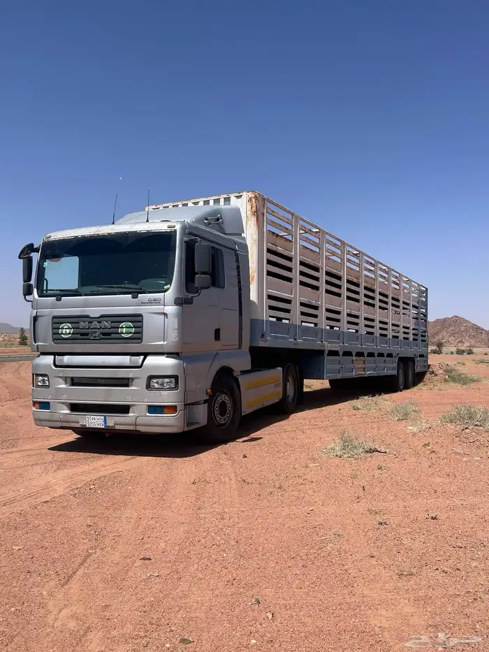 تريله نقل غنم حلال 1