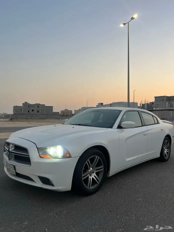 دوج تشارجر شبه وكالة اقبل بي البدل الي يناسبني 8