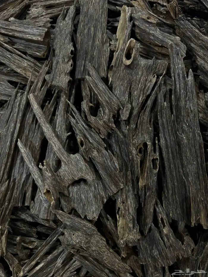 عود هندي زورا سوبر وأعلى طبيعي بعرض صيدة 0