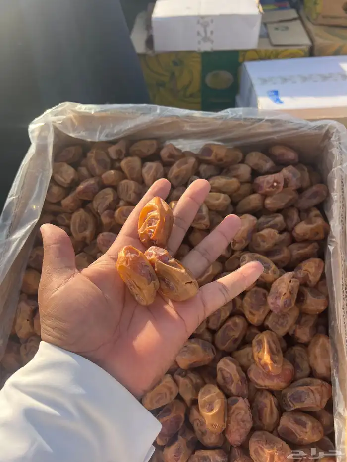 تمور اخلاص متوجد في المزاحمية 0