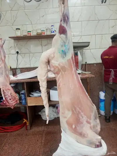 عروض بأرخص الاسعار واللحم بلدي ومستورد index