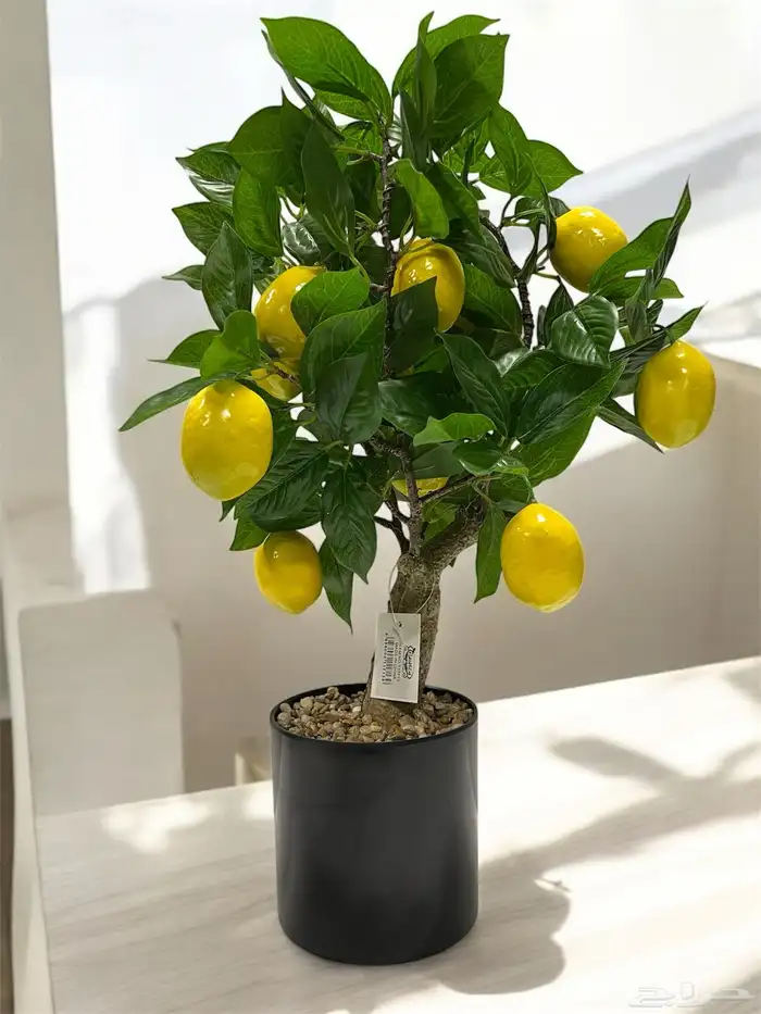 أشجار الصناعية 25