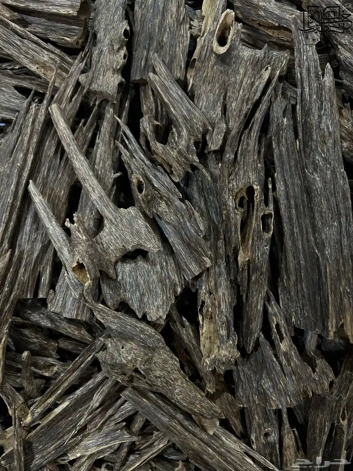 عود هندي زورا سوبر وأعلى طبيعي بعرض صيدة 1