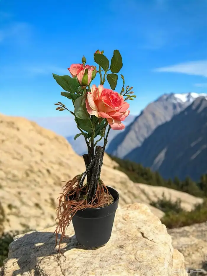 أشجار الصناعية 0