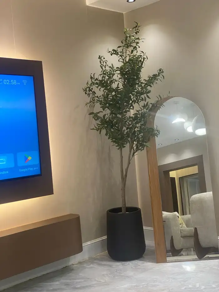 شاليهات  شاليه ريبال جيزان 13