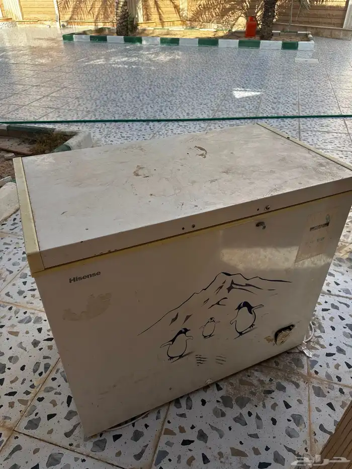 فليزر مستعمل وصغير 4