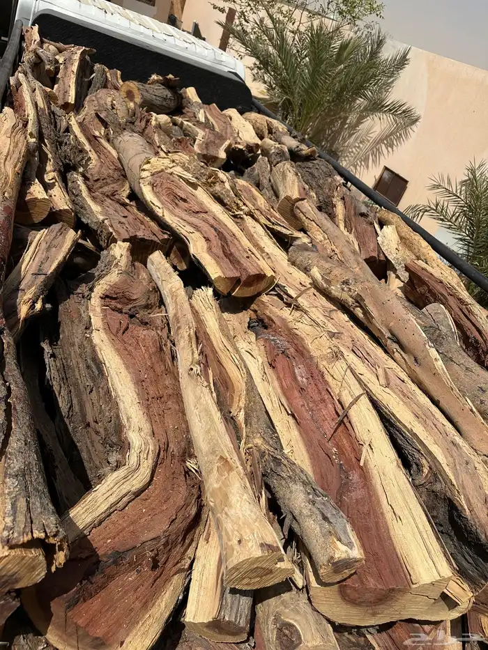 حافظة نضيف وتواصيل الرياض وغيرها سمر شرط ويابس شلايخ مبروم 4