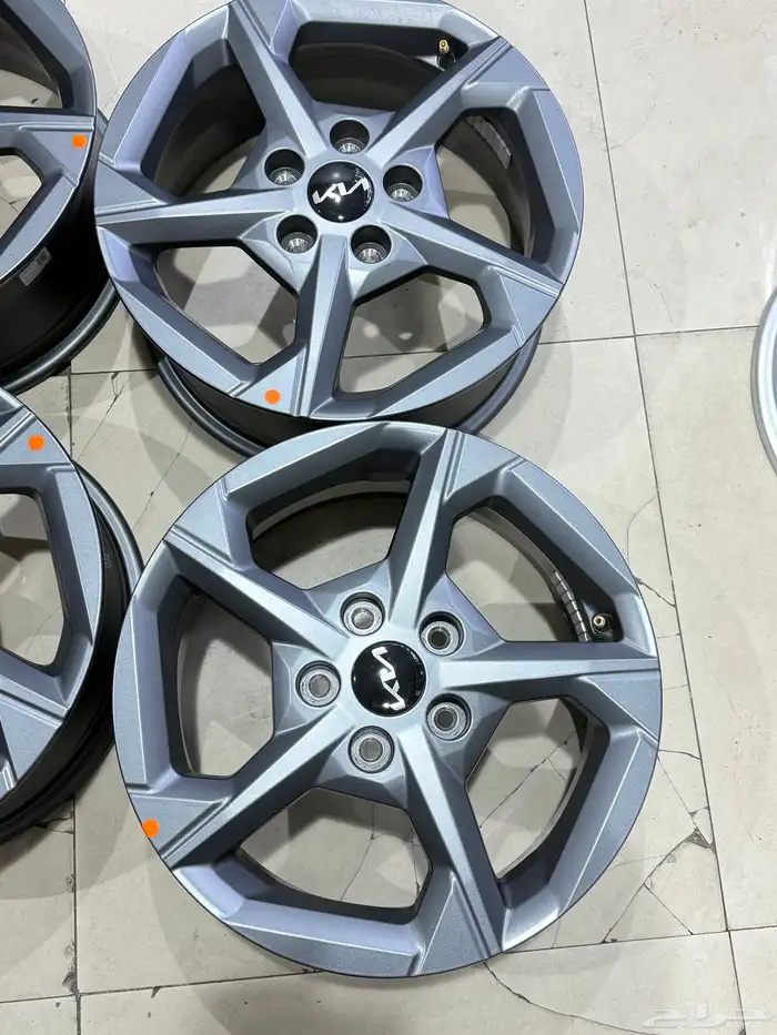 جنوط كيا 2026 وكاله بلد جديد مقاس 16 2