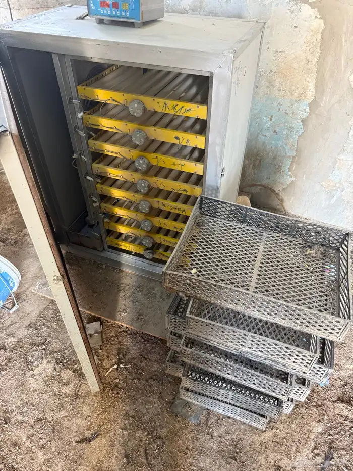 فقاسه اتوماتيكي عون المربي حجم 500 للتواصل جوال 1