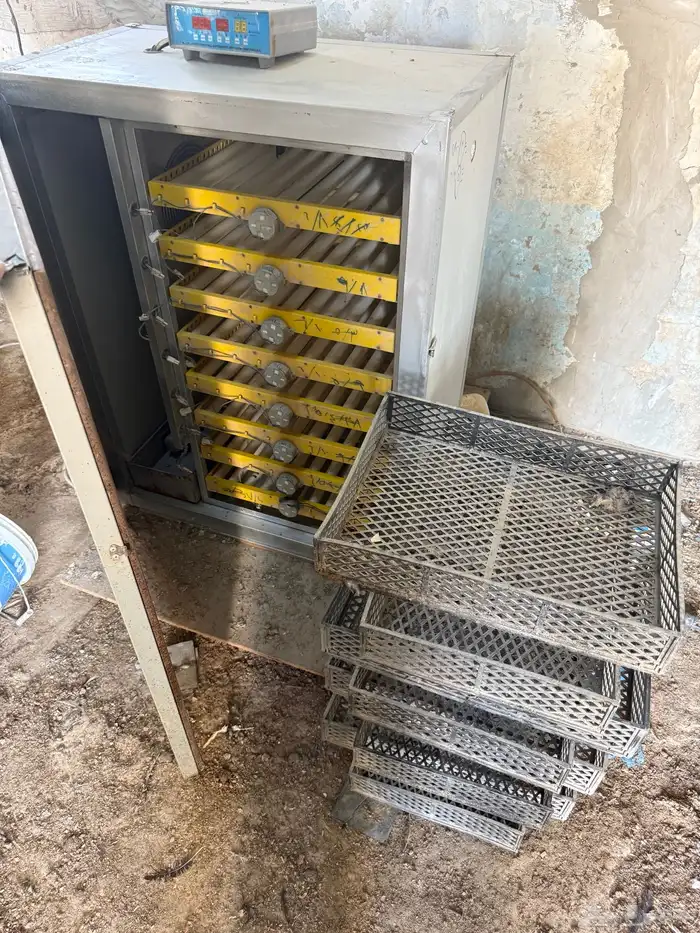 فقاسه اتوماتيكي عون المربي حجم 500 للتواصل جوال 2