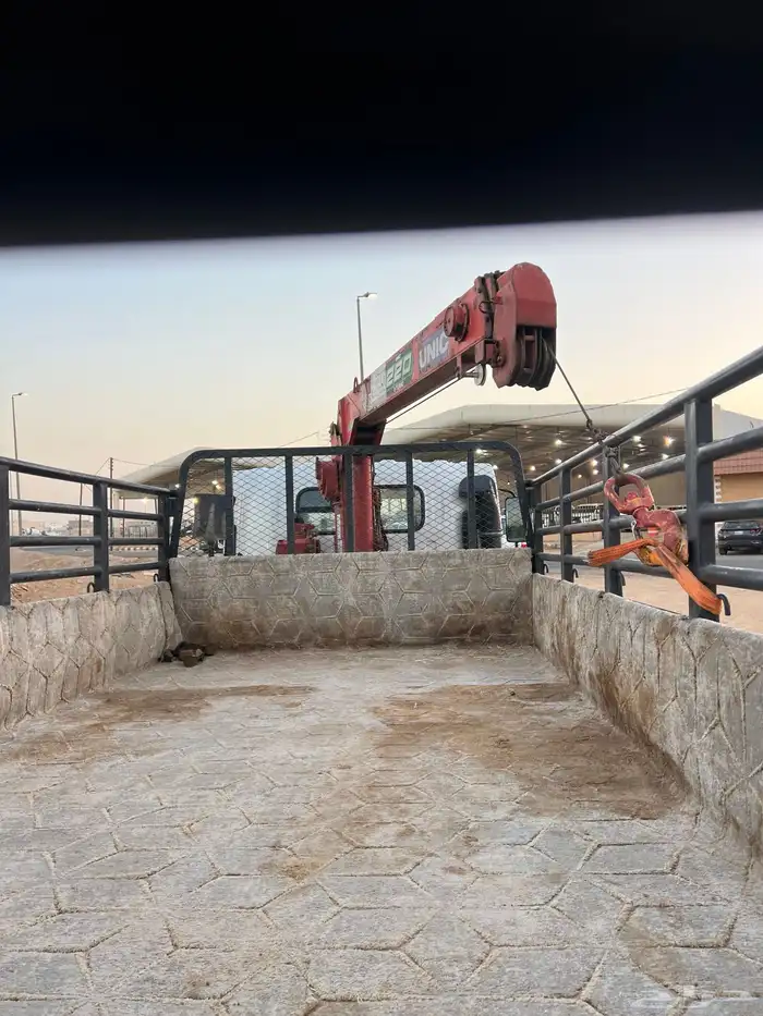 للبيع ديانه ونش كرين اسيزو 2022 8