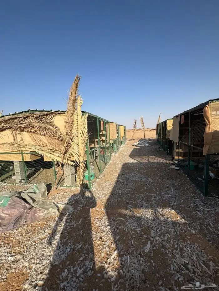 مشروع حمام فرنسي متكامل للبيع 3
