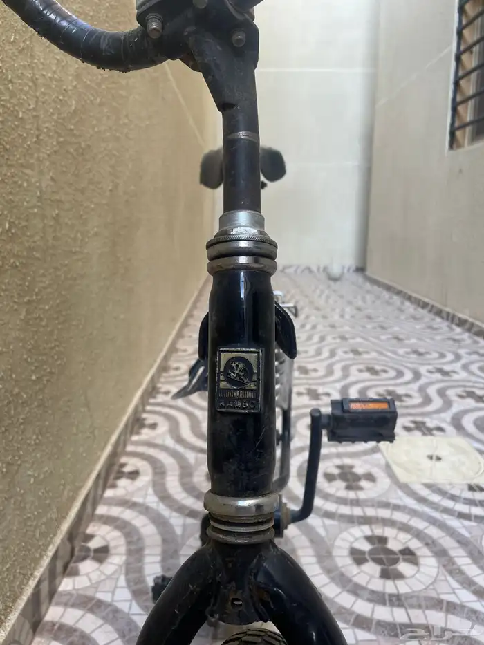 خميس مشيط حي الموس 2