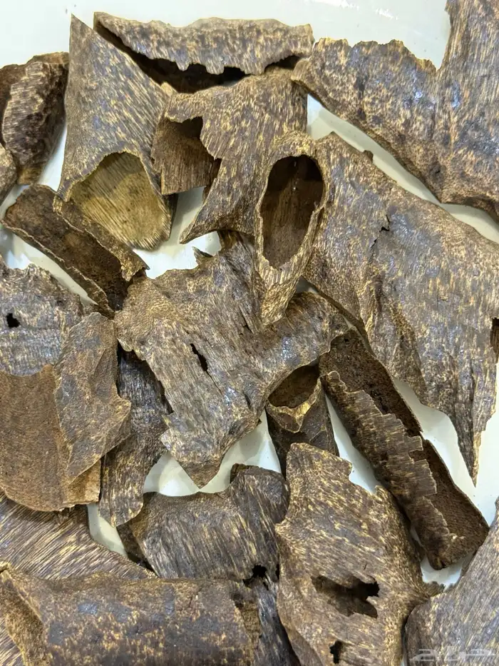 عود تراد نوادر VVIP 0