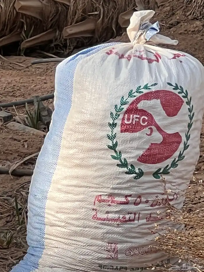 تمر علف 1