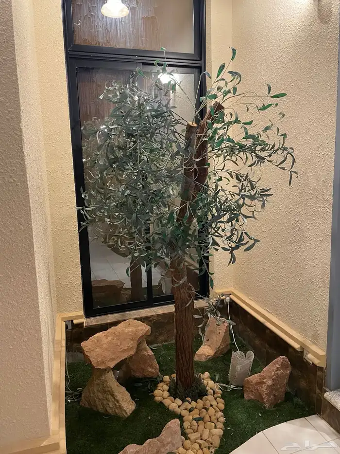 شاليه للايجار 0