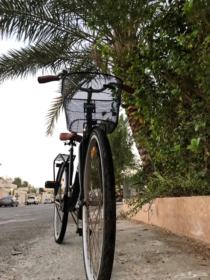 دراجه كلاسكيه مميزه للبيع 4