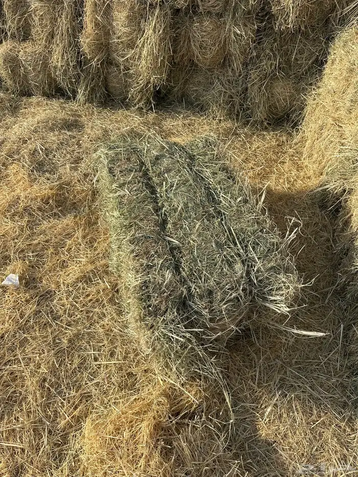 للبيع رودس 2