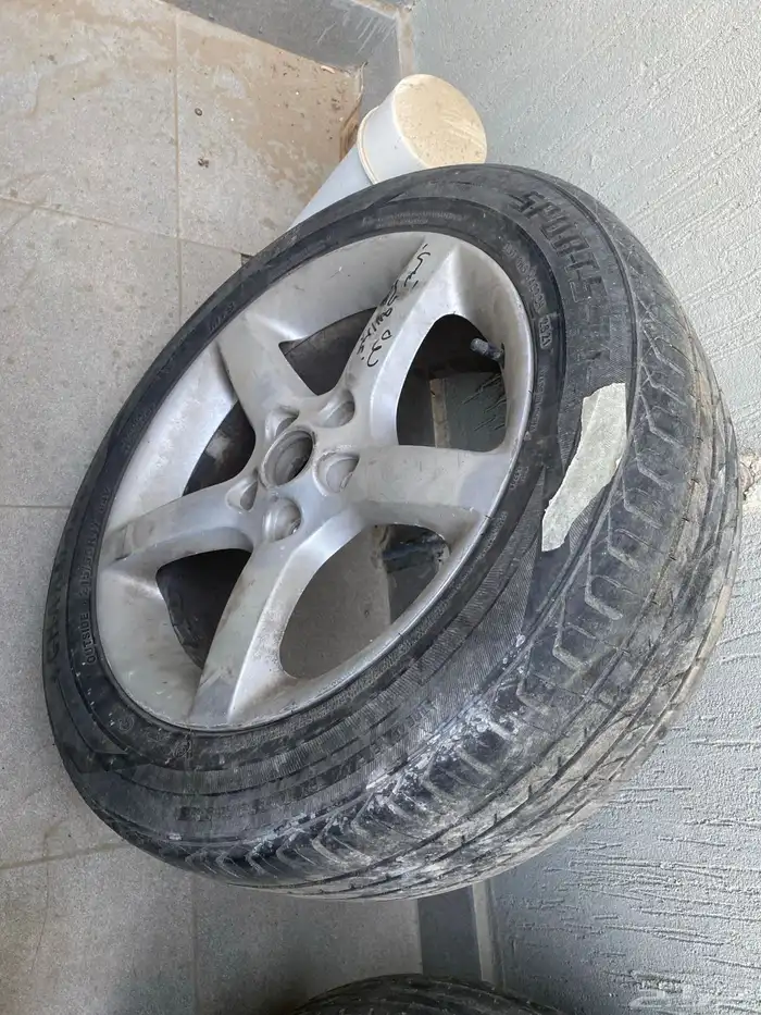 جنوط التيما 2006 1