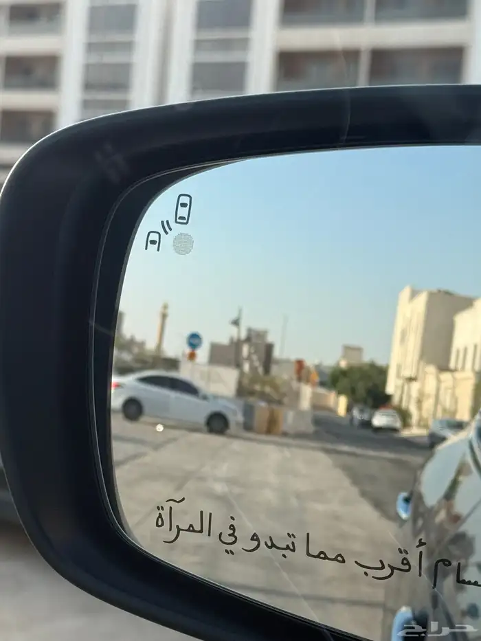 رينو كوليوس 2024 11