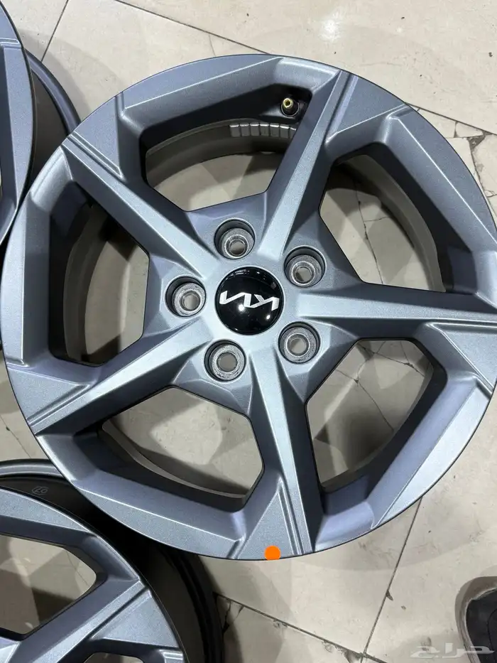 جنوط كيا 2026 وكاله بلد جديد مقاس 16 7