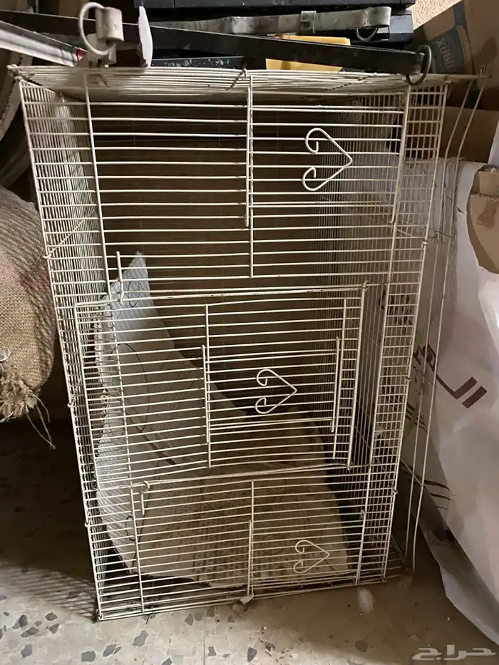 خرده كهربائيات و حديد 0