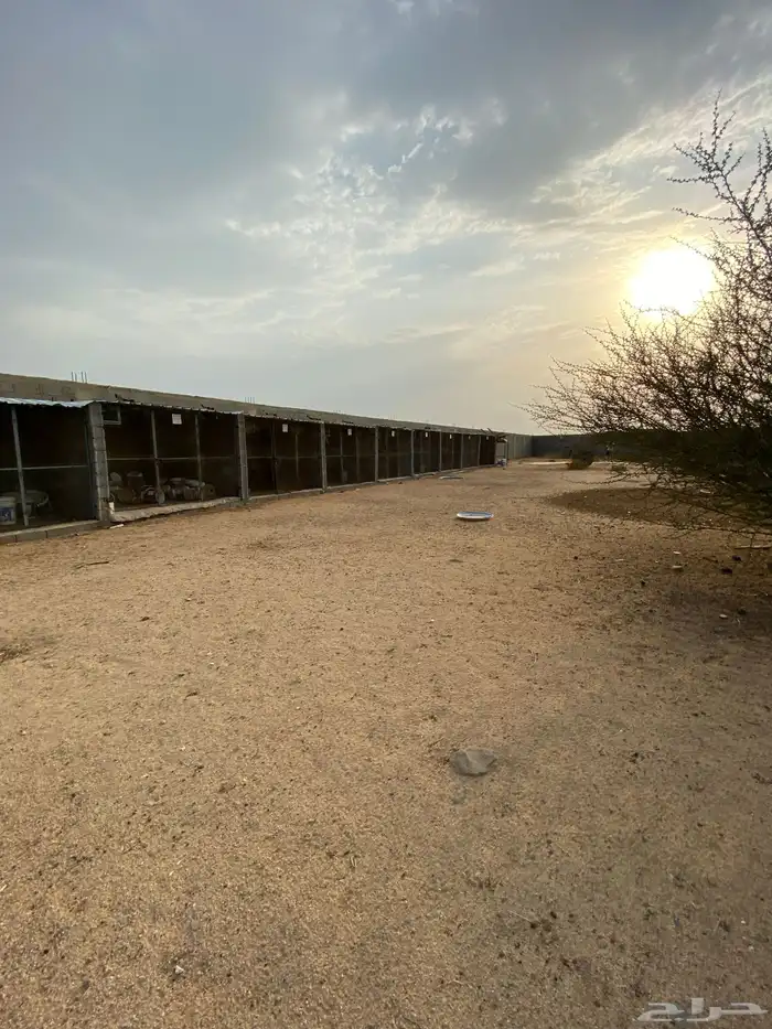 مشروع حمام فرنسي 2