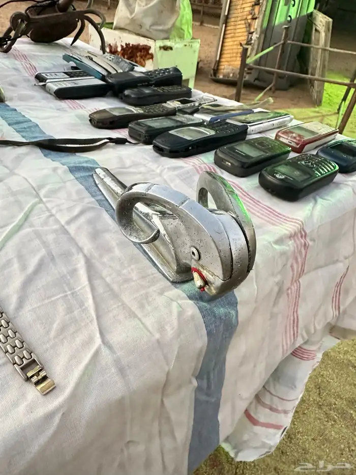 تمثال راس الوعل نادر 0