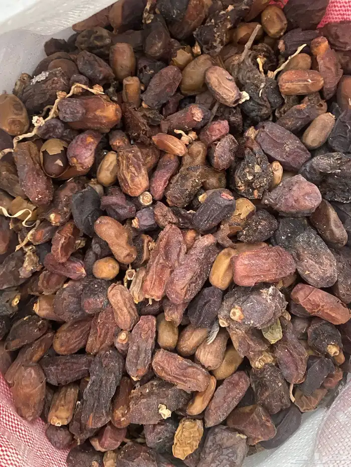 للبيع تمر علف 3