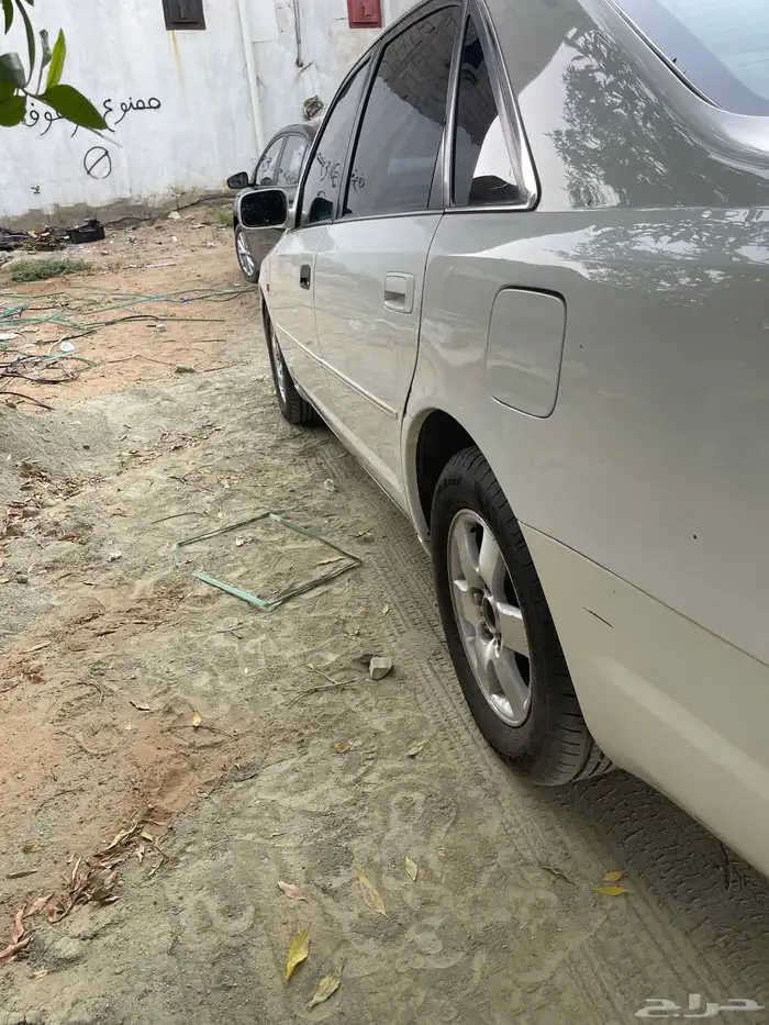 جازان صبيا 6