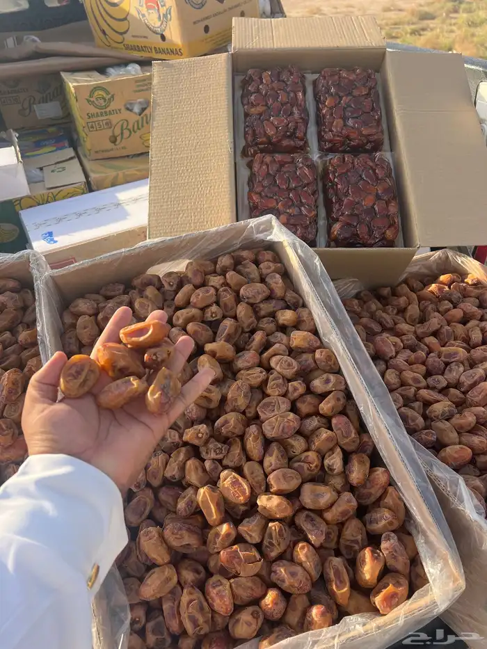 تمور اخلاص متوجد في المزاحمية 1