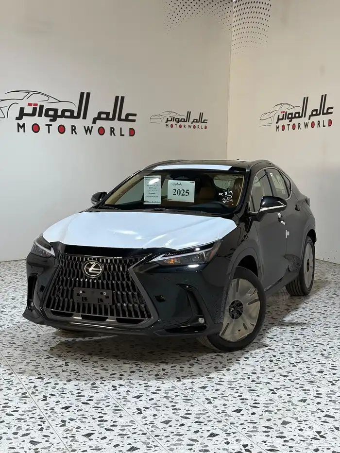 خليجي 2