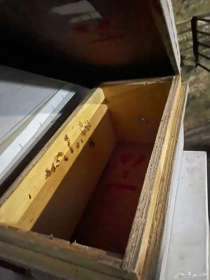 للبيع خلايا حديثه فاضي العدد 11 فيها 6من تاخذ من 6برواز 3