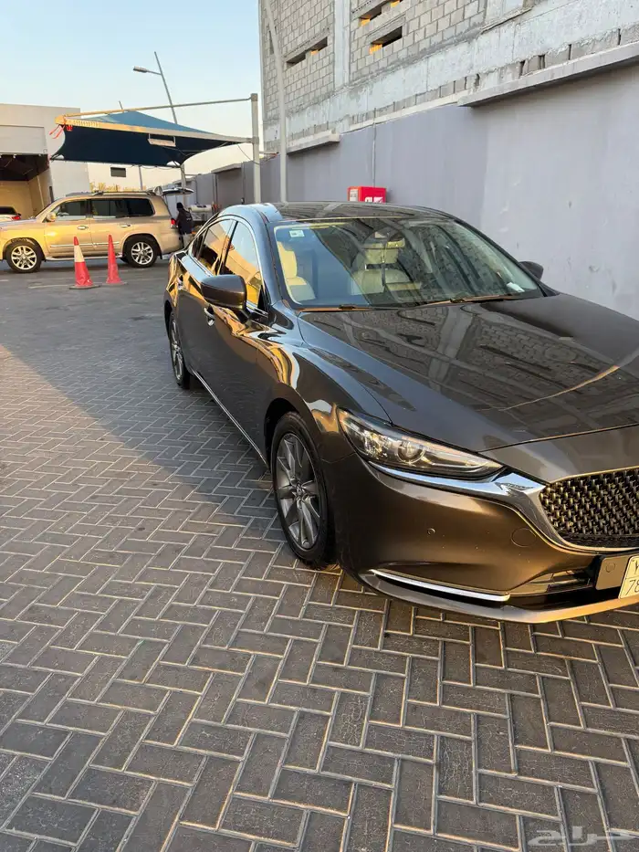الاحساء 1