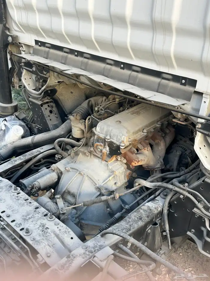 دينا ايسيزو 2002 3