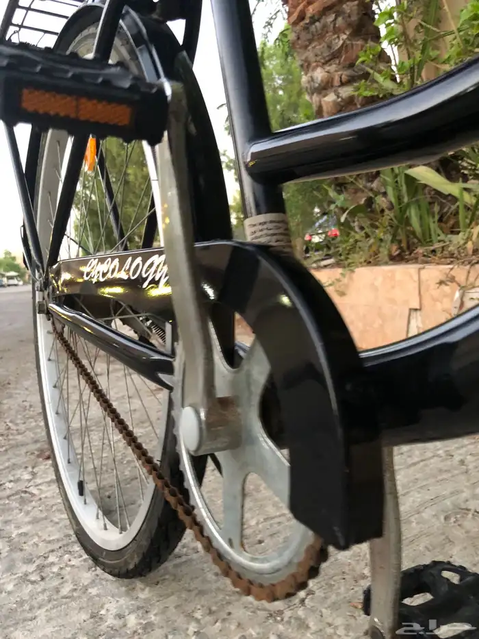 دراجه كلاسكيه مميزه للبيع 3