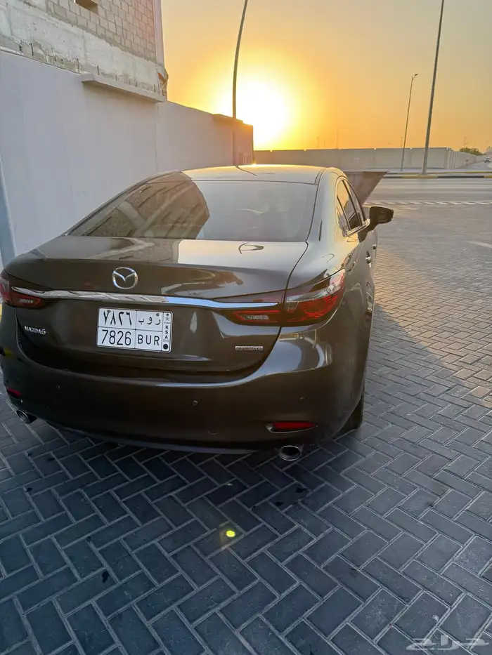 الاحساء 5