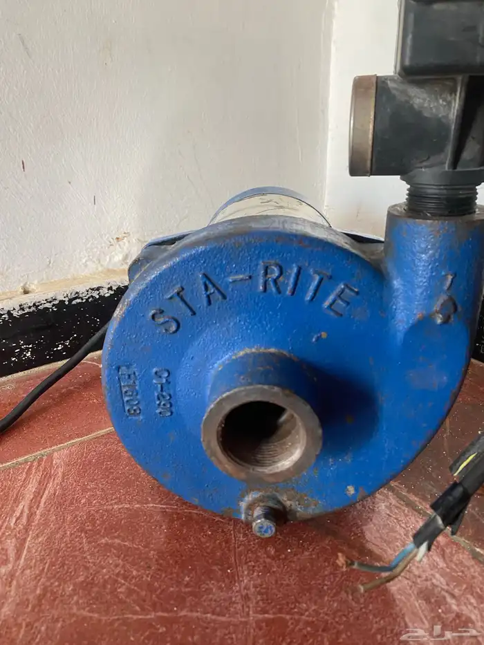 دينمو سمنان 3