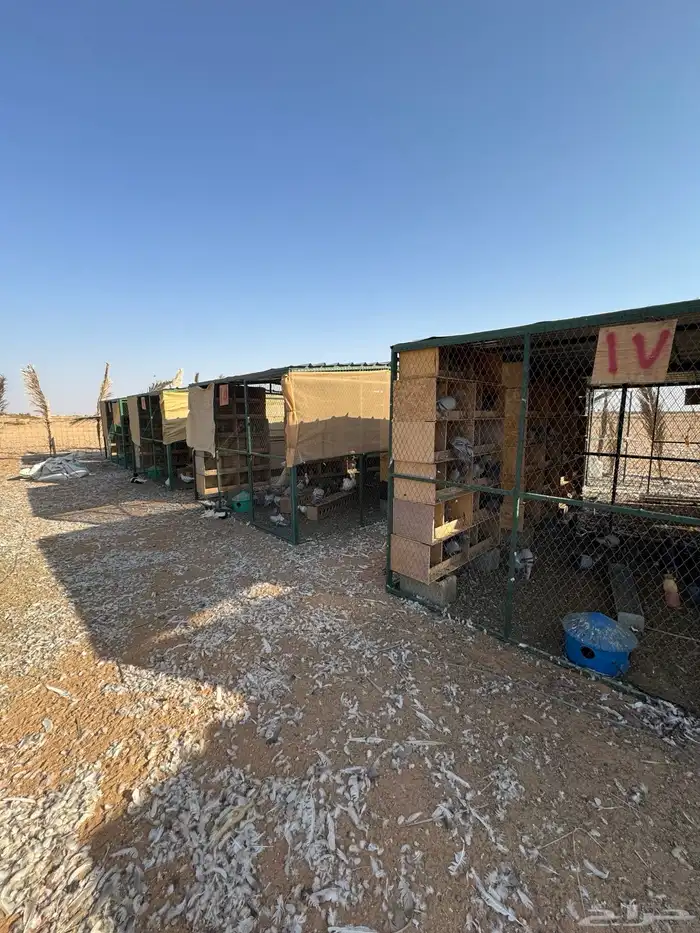 مشروع حمام فرنسي متكامل للبيع 4