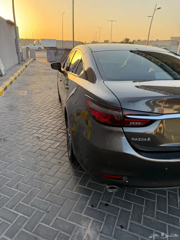 الاحساء 4