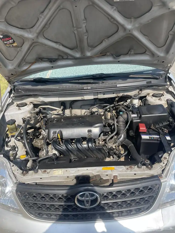 كوريلا 2004 10