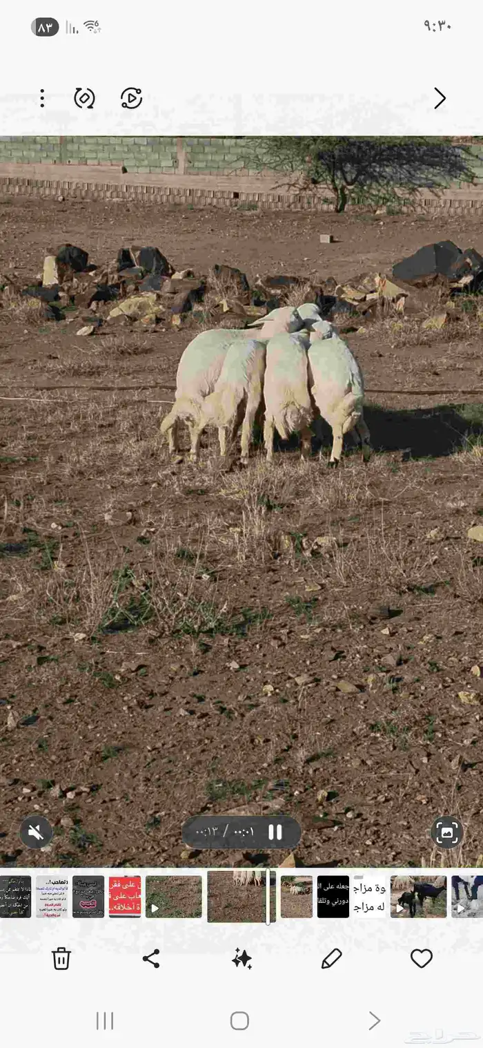 جبر ناااهي ووسط مرتفع 1