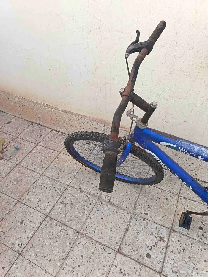 سيكل تواصل 1