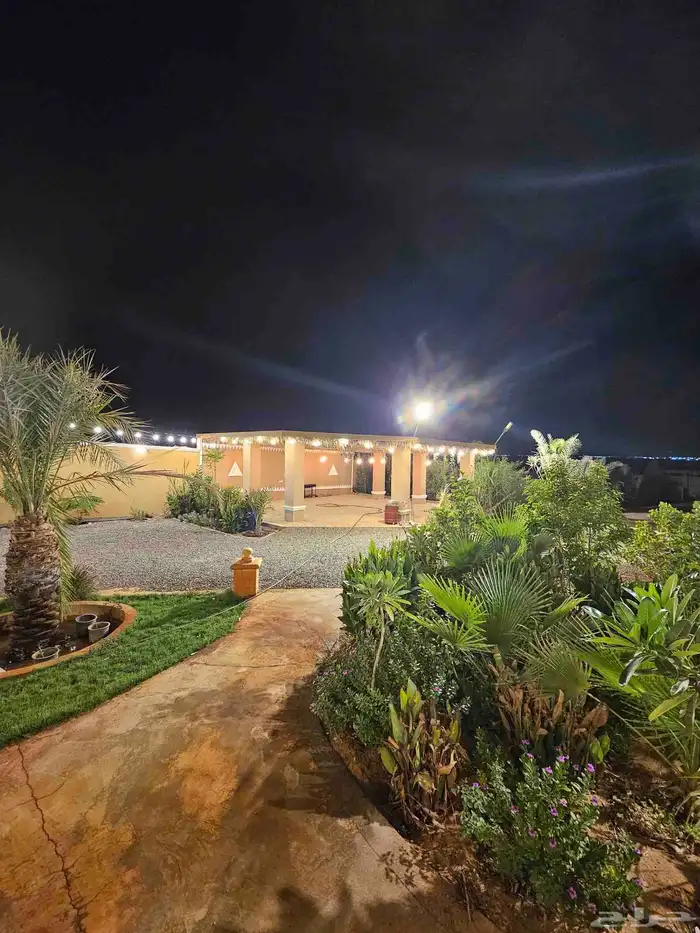 مخيم للايجار المزاحميه (تبراك) 28