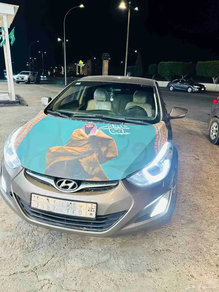 Hyundai Elantra 2012 0
