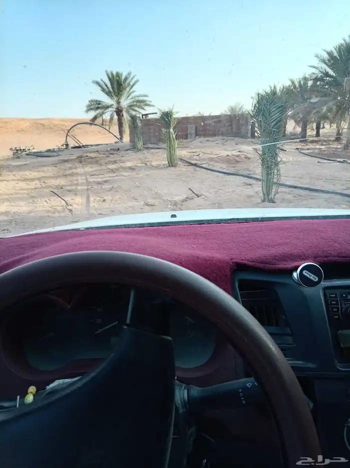 نخل للبيع بجميع أنواعها ومقاساته 5