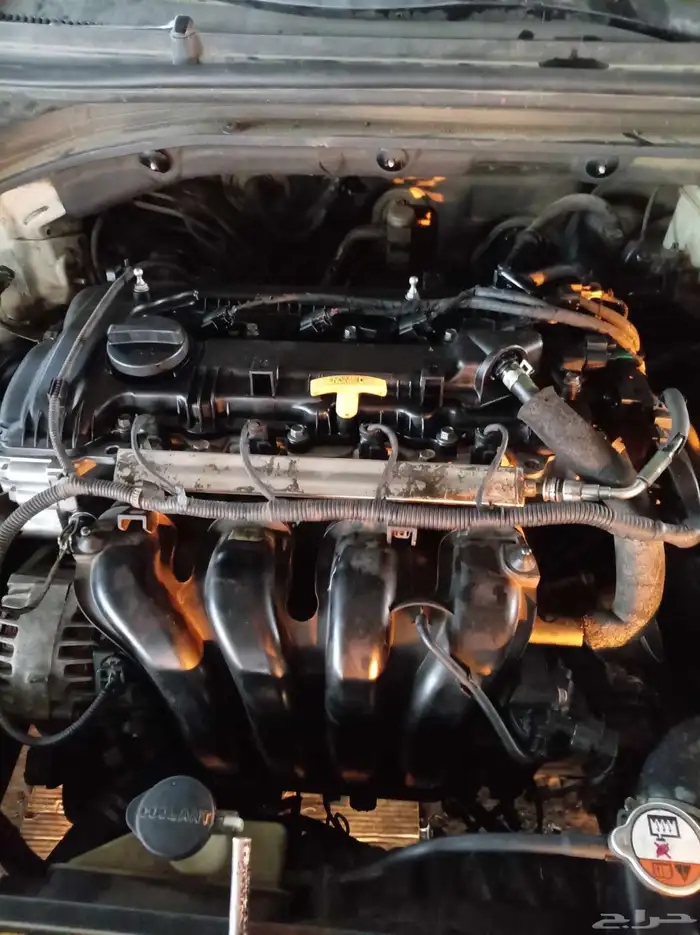 مكينه كونا سيراتو كاريتا 0