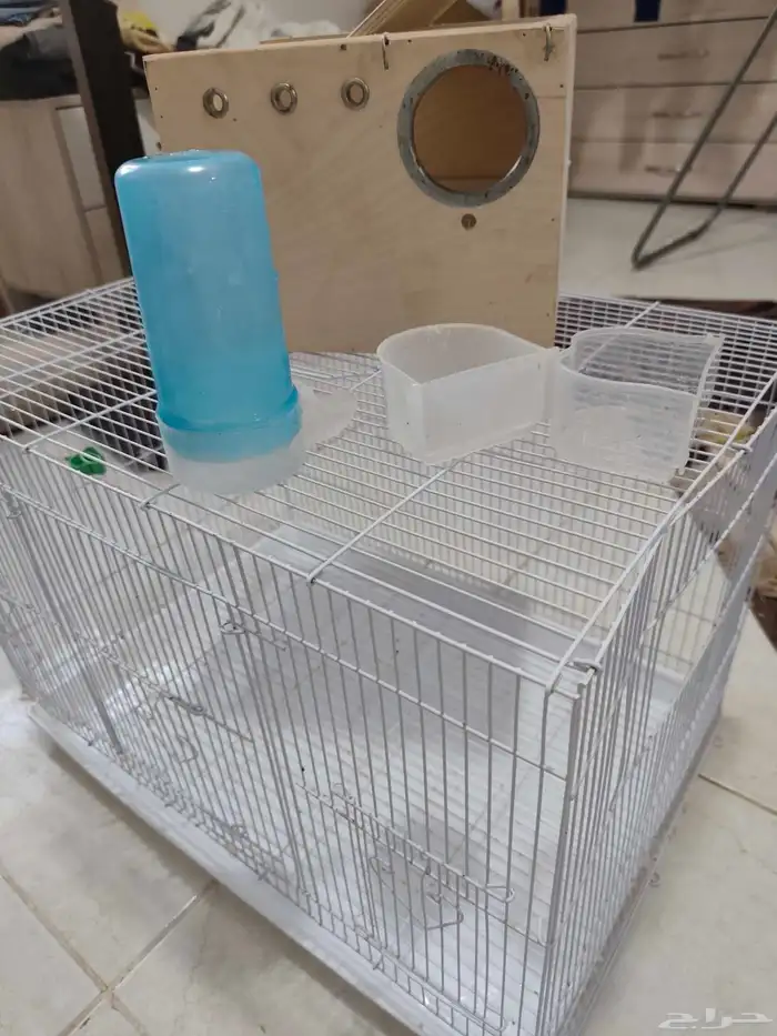 قفص كبير مناسب للكوكتيل والروز مع بياضة ومشربيات 2